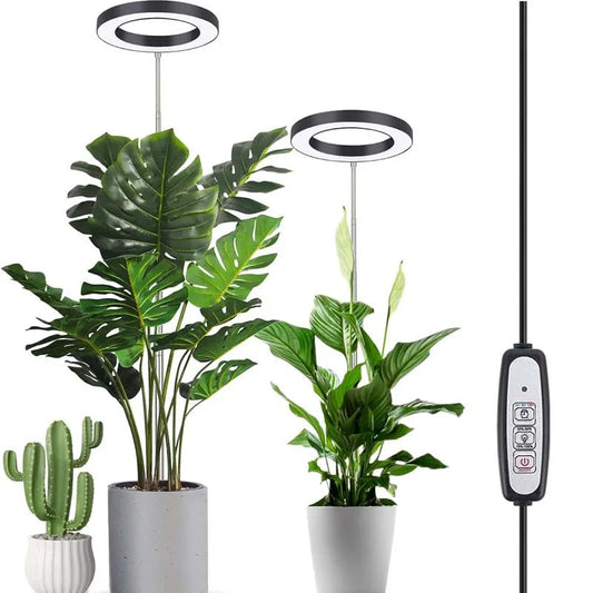 GlowRoot Mini